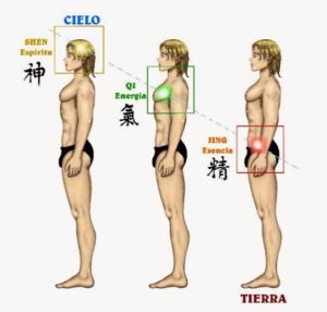 shen-jing-qi-3