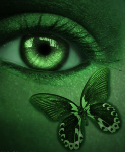 los-ojos-y-la-mirada-sistemica-2